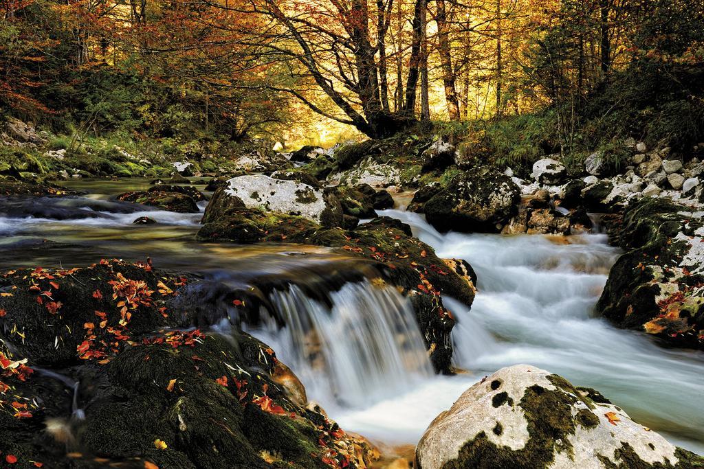 Farmhouse Pri Miklavu Bohinj Dış mekan fotoğraf