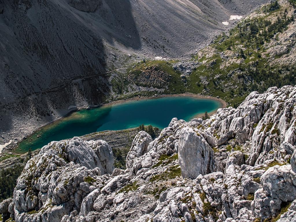 Farmhouse Pri Miklavu Bohinj Dış mekan fotoğraf