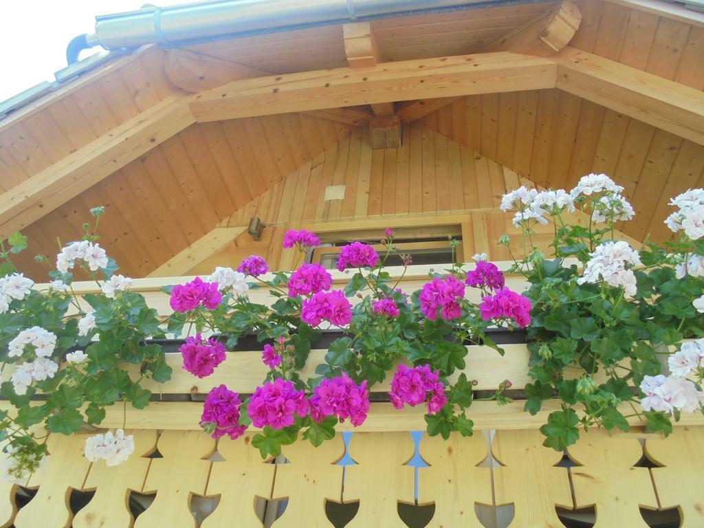 Farmhouse Pri Miklavu Bohinj Dış mekan fotoğraf