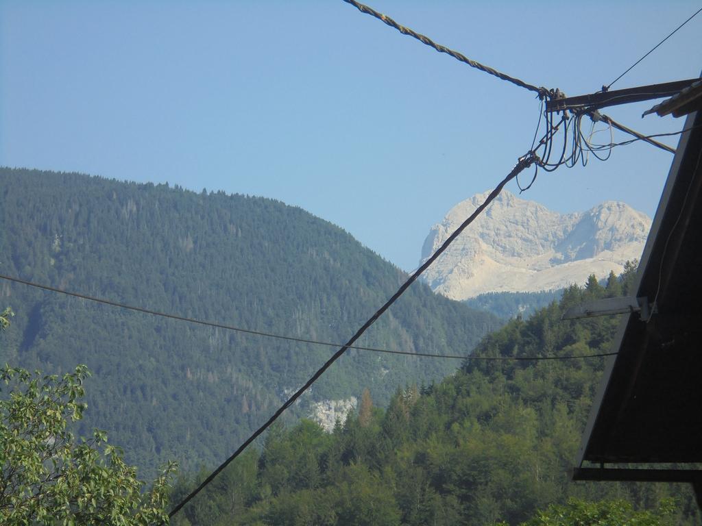 Farmhouse Pri Miklavu Bohinj Dış mekan fotoğraf