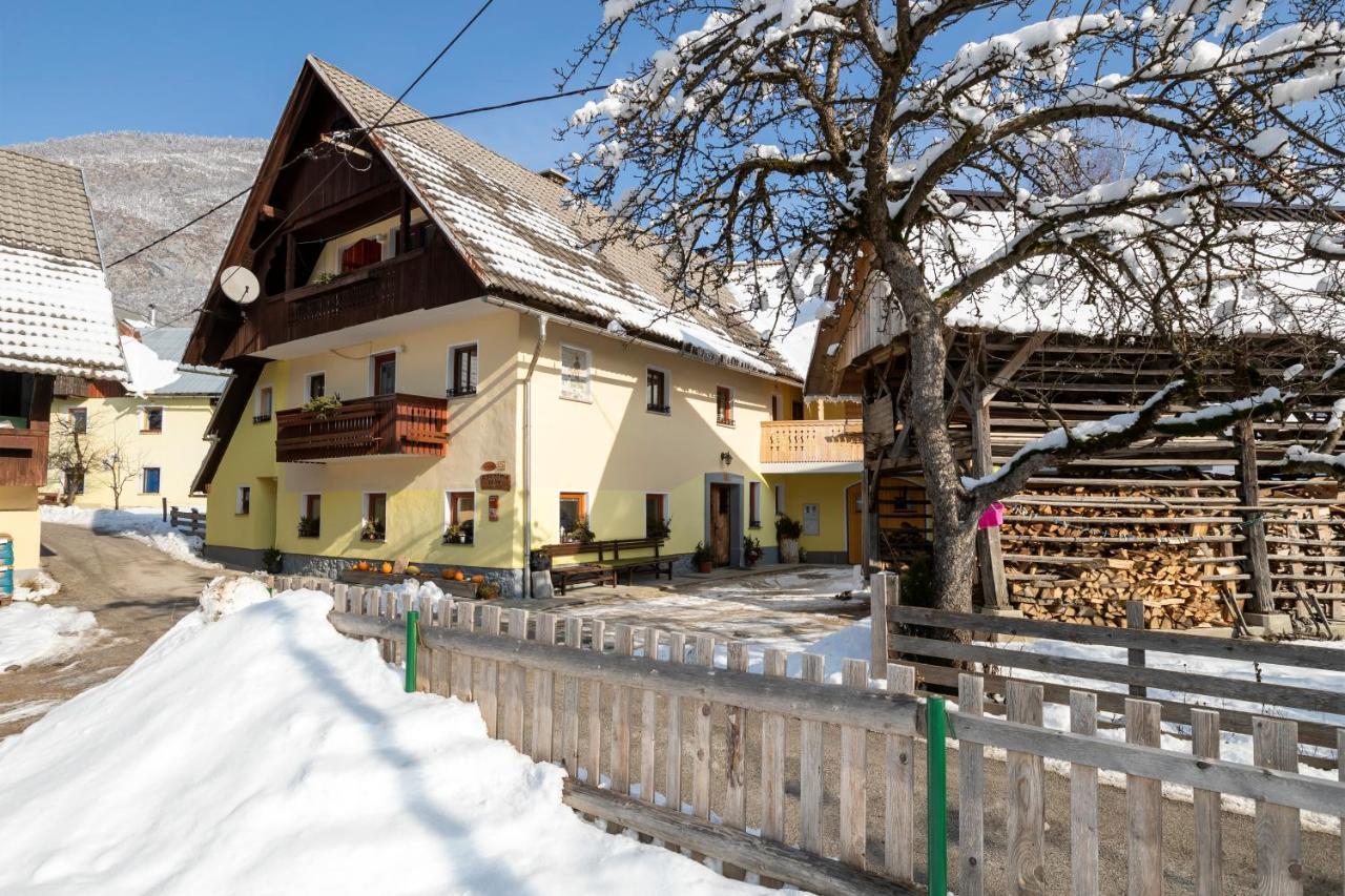 Farmhouse Pri Miklavu Bohinj Dış mekan fotoğraf